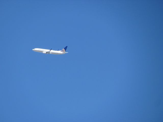 Boeing 737-800 —