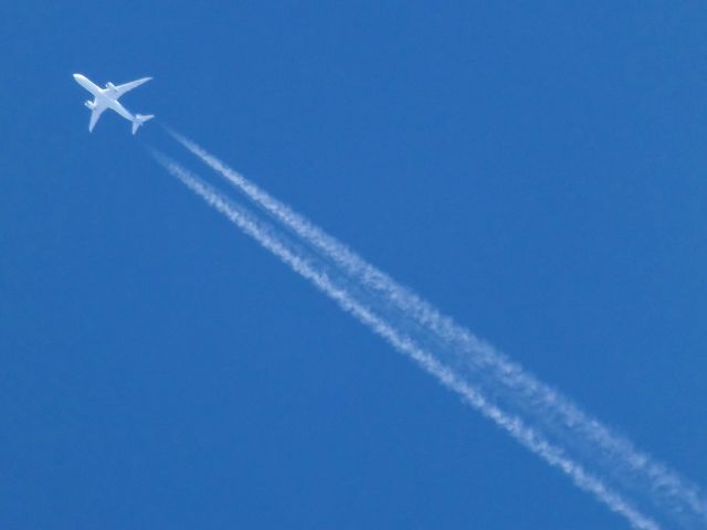 Boeing 787-9 Dreamliner (CC-BGI) - CC-BGI | LAN750 | SCL>GRU | B-789br /VERTICAL DE CASCAVEL-BRA | 09.05.2017 - 10:46 | FL390