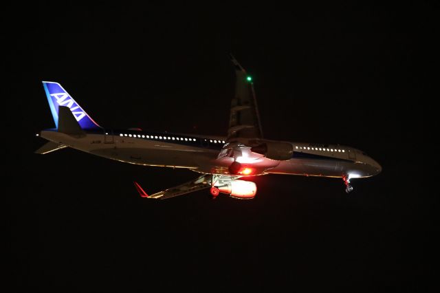 Airbus A321 (JA113A) - October 5th 2018:HND-HKD.