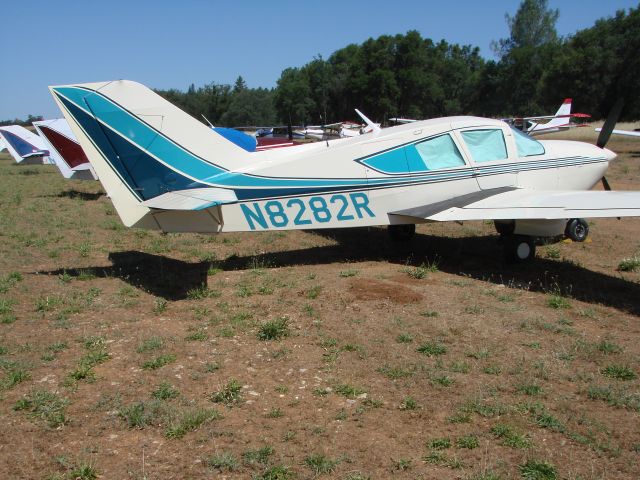 BELLANCA Viking (N8282R) - Bellanca-Champion Club 2014 West Coast Fly-In at Columbia California.