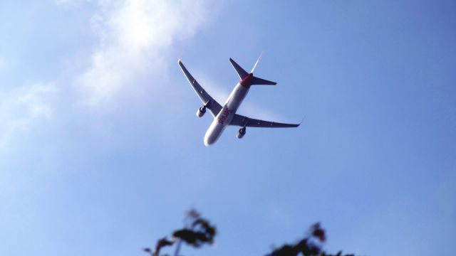 BOEING 767-300 (OE-LAW)