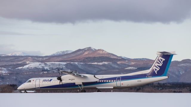 de Havilland Dash 8-400 (JA846A) - ANA Wings - AKX / Bombardier DHC-8-402Q Dash 8 [DH8D]br /Jan.17.2016 Hakodate Airport [HKD/RJCH] JAPAN