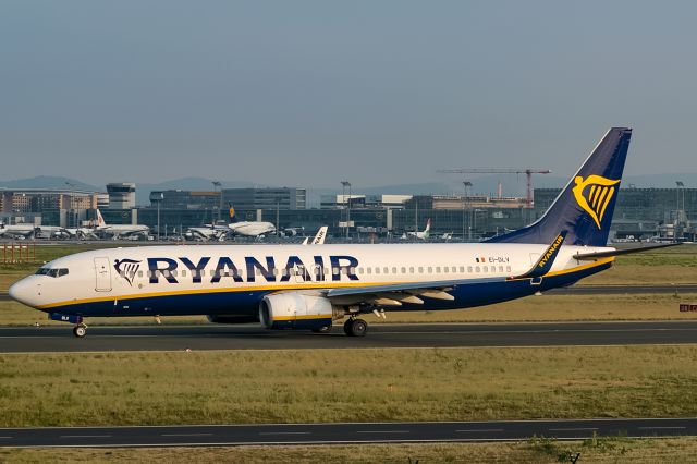Boeing 737-800 (EI-DLV)