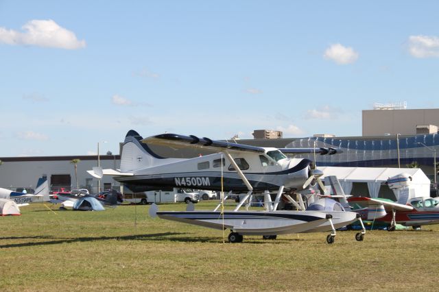 De Havilland Canada DHC-2 Mk1 Beaver (N450DM)