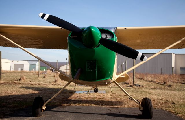 Cessna 170 (N8000A) - A beauty!