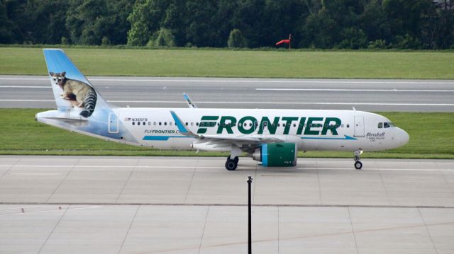 Airbus A320neo (N365FR) - Marshall the Ring Tailed Cat