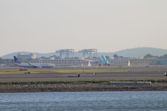 Airbus A330-300 (EI-ELA) - Aer Lingus A330-300 lifts off from 22R at Logan, bound for Ireland.