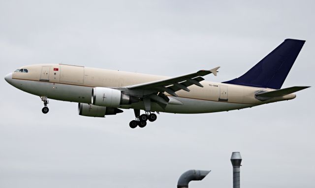 Airbus A310 (TC-SGM)