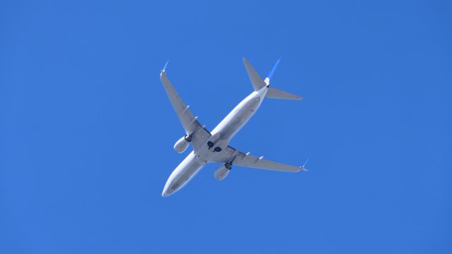 Boeing 737-800 (N76269)