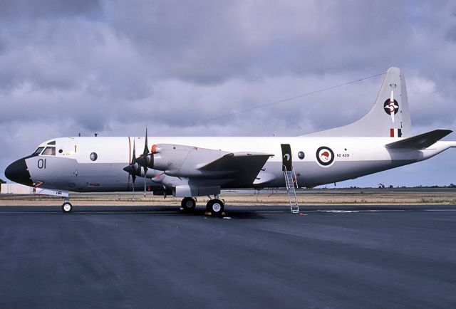 BOEING 747-8 (ANZ4201) - NEW ZEALAND - AIR FORCE LOCKHEED P3-B ORION REG NZ4201 (CN 185-5190) - EDINBURGH RAAF BASE ADELAIDE SA. AUSTRALIA - YPED (8/10/1981)
