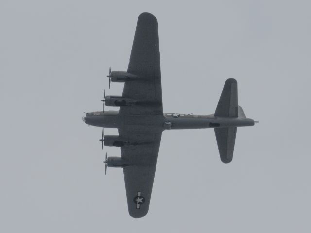 Boeing B-17 Flying Fortress (N3701G)