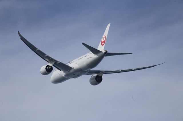 Boeing 787-8 —