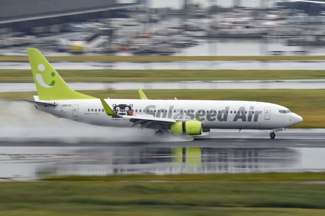 Boeing 737-800 (JA812X)