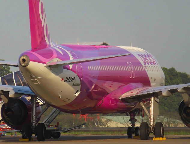 Airbus A320 (JA824P) - I took this picture on Sep 20, 2019.br /MM503/20Sep NRT-OKA