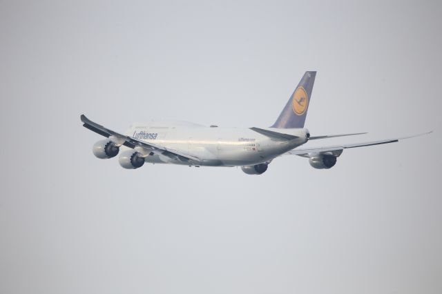 BOEING 747-8 (D-ABYG)