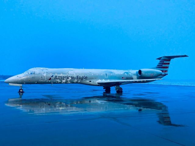 Embraer ERJ-145 (N610AE) - Would you believe it, this was in April! We had snow and by the time we got to work, it had all melted on the ramp, leaving snow on the aircraft for this amazing photo, photo taken by Laurel Sullivan 