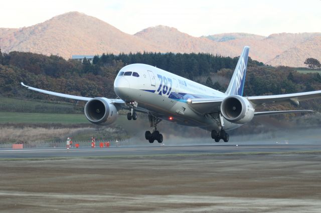 Boeing 787-8 (JA819A) - 03 November 2016:HKD-HND.