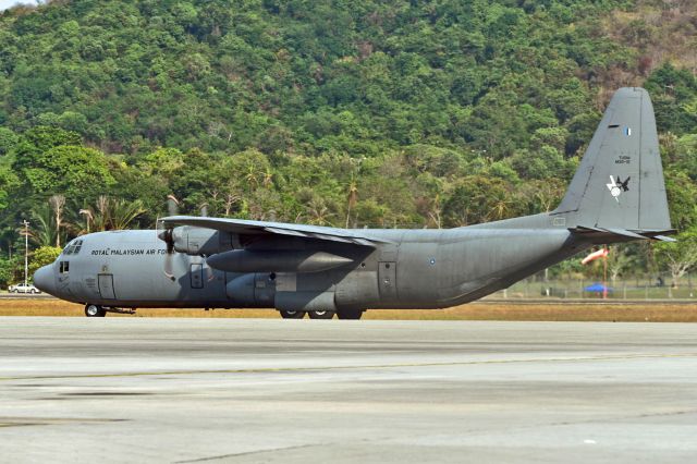 Lockheed C-130 Hercules (M3016)