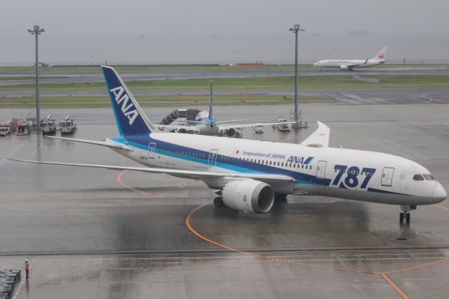 Boeing 787-8 (JA817A)