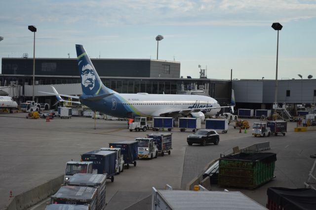 Boeing 737-900 (N306AS) - N306AS (B737-990ER) at gate E1 getting ready to fly to Seattle after spending the night at MSP with a Air Canada Express in the far leftbr /br /Taken 07:54, July 1, 2024