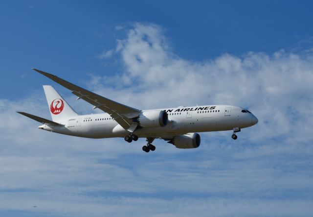 Boeing 787-8 (JA844J) - Japan 787 inbound to runway 13L at JFK airport. 