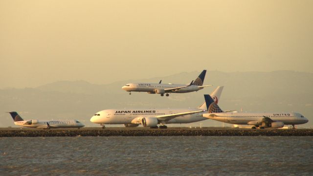 Boeing 787-8 (JA825J) - KSFO evening traffic jam.  JAL 1 waiting for takeoff clearance on 28L while a UAL 738 arrives on 28R from KSAN