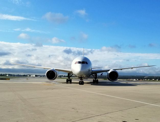 — — - AAL 787-200 IN CHICAGO 