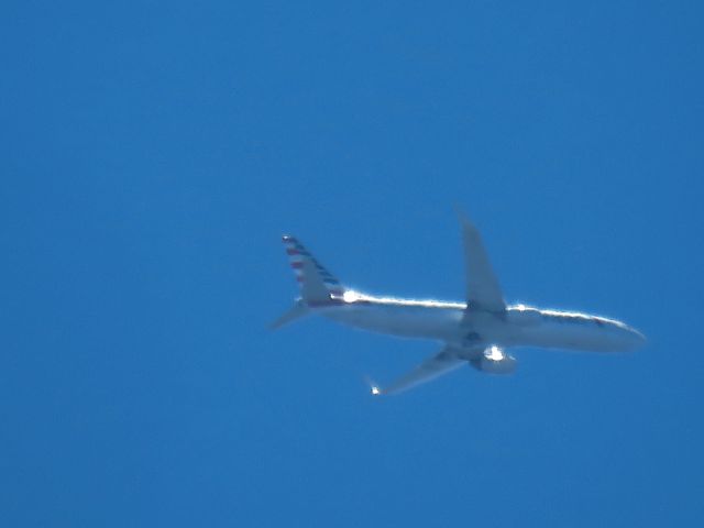 Boeing 737-800 (N823NN)