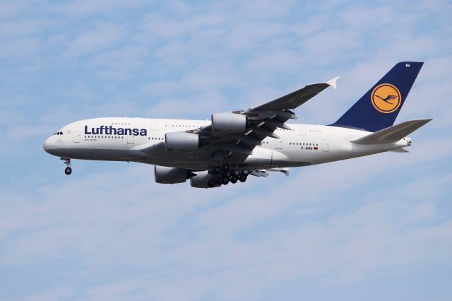 Airbus A380-800 (D-AIMA)