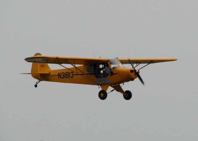 Piper L-21 Super Cub (N31813) - At Shreveports Downtown Airport.