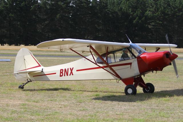 Piper L-21 Super Cub (ZK-BNX)