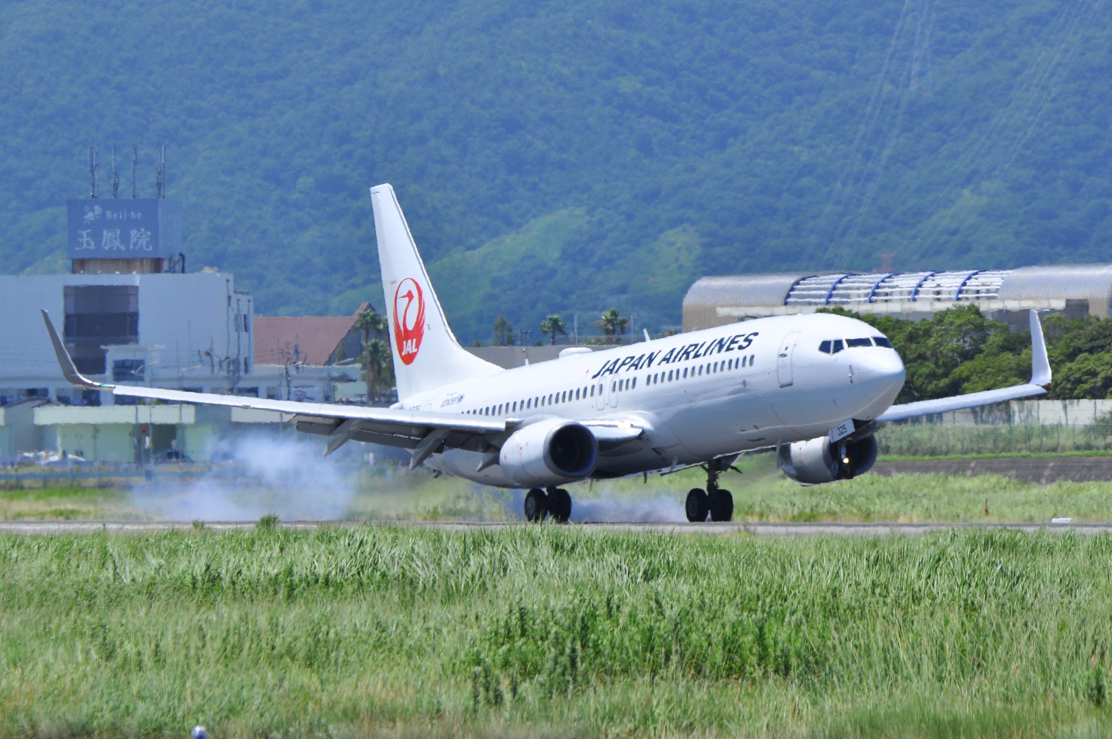 Boeing 737-800 (JA325J)