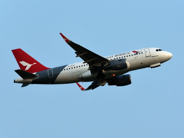 Airbus A319 (B-303T)