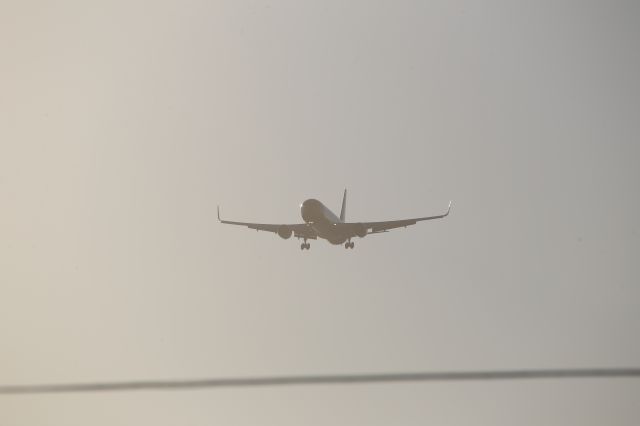 BOEING 767-300 (N739DH)