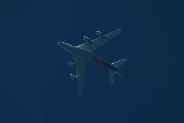 Airbus A380-800 (HL7625) - asiana airline