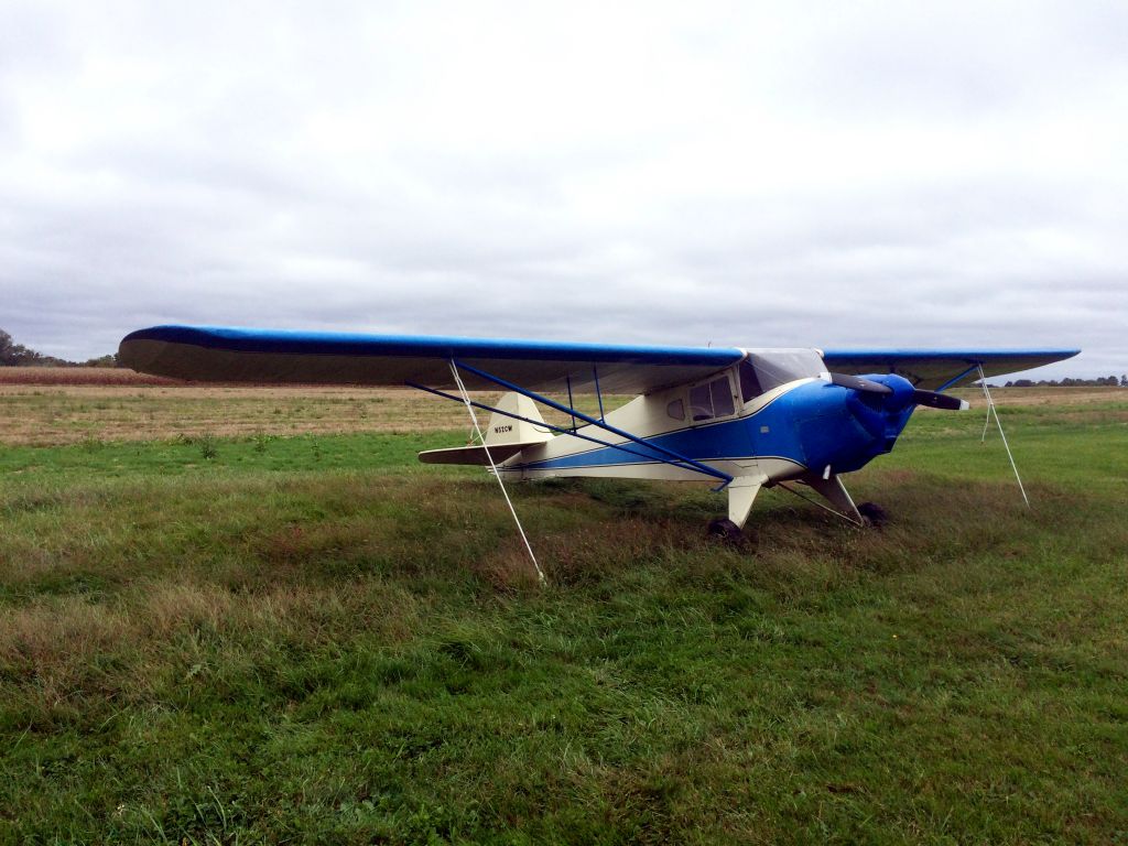 TAYLORCRAFT (1) BL (N52CW)