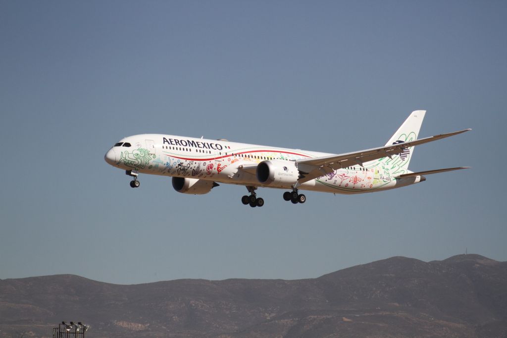 Boeing 787-9 Dreamliner (B789) - FINAL APPROACH 27 MMTJ