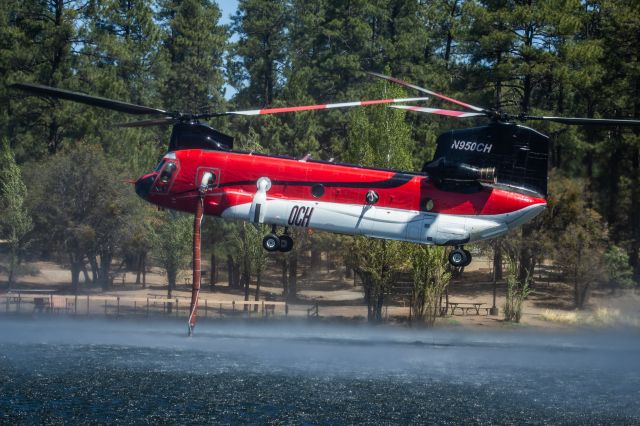 N950CH — - N950CH loading water at Goldwater Lake, Prescott Arizona, during the Crooks Fire.