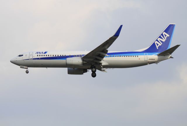 Boeing 737-800 (JA66AN)