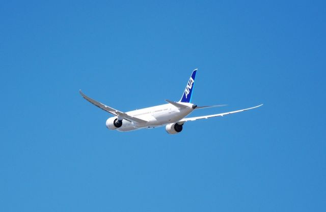 Boeing 787-8 (N1006F)