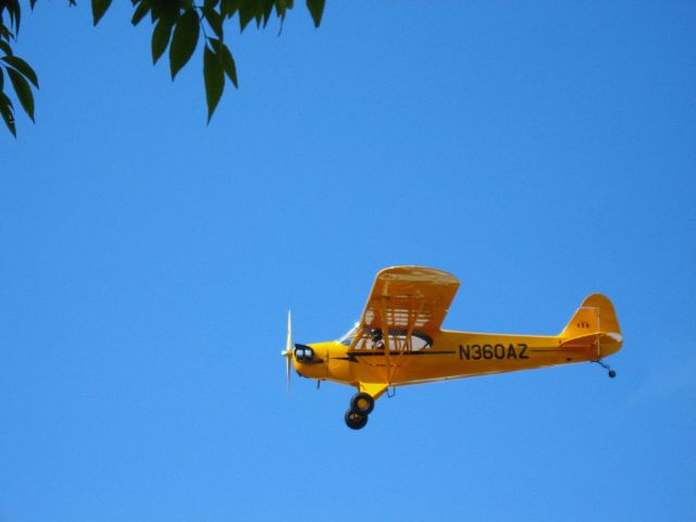 Piper L-21 Super Cub (N360AZ) - Landing on RWY 24