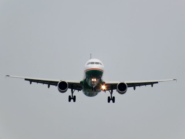 Airbus A321 (B-16202)