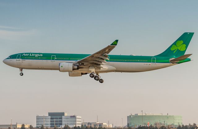 Airbus A330-300 (EI-EAV)