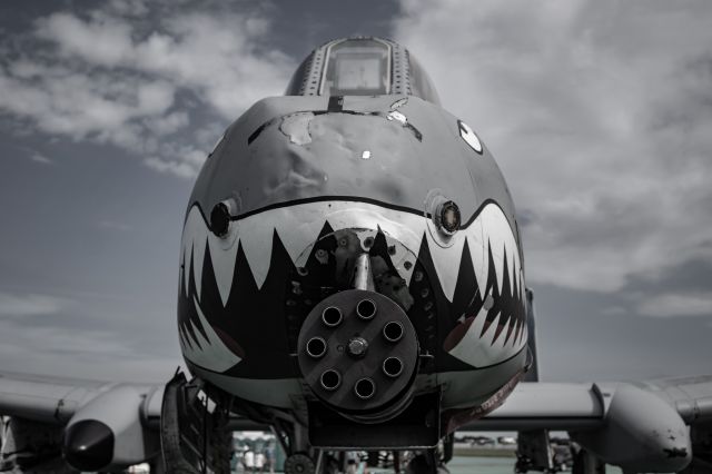 Fairchild-Republic Thunderbolt 2 — - Staring straight into the eyes of death. Taken at the 2019 Vectren Dayton Air Show.