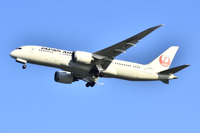 Boeing 787-8 (JA830J)