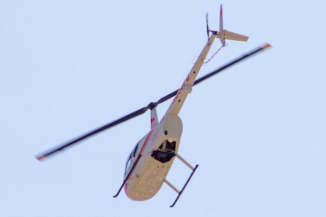 Robinson R-44 (N335PD)