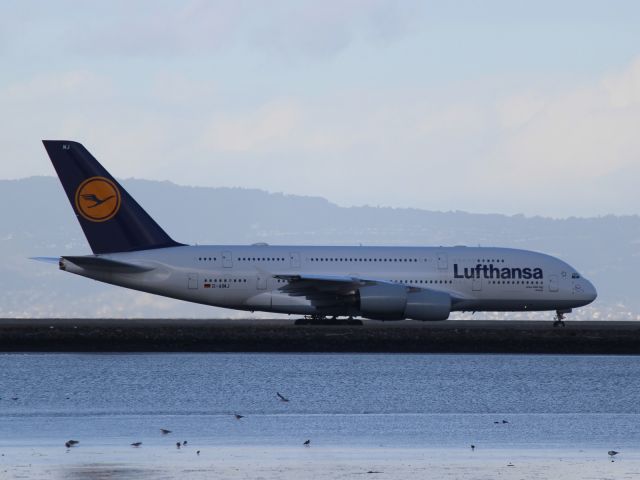 Airbus A380-800 (D-AIMJ)