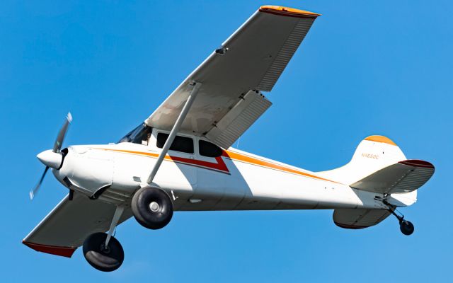 Cessna 170 (N4650C)