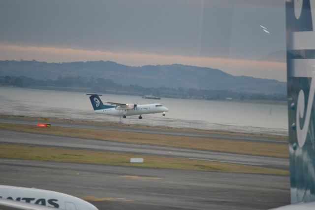 ZK-NED — - Air New Zealand Dash 8 on Take off