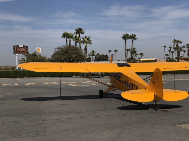 Piper NE Cub (N440TX)